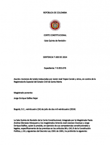 VER PROVIDENCIA